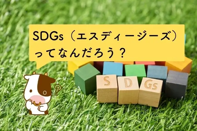 SDGs（エスディージーズ）って何だろう？