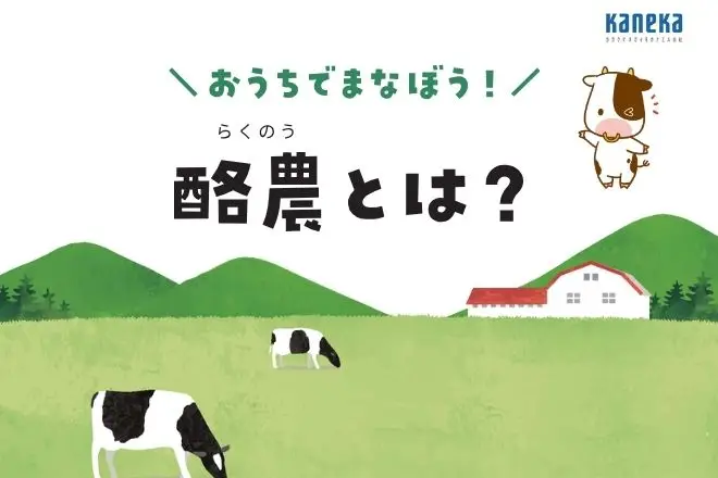 牛ってどれくらい寝るの？