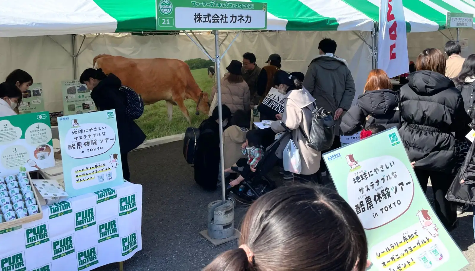 有機循環型酪農に気軽に触れ合う。