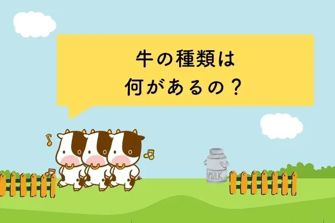 牛の種類は何があるの？