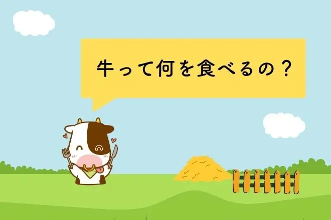 牛って何を食べるの？